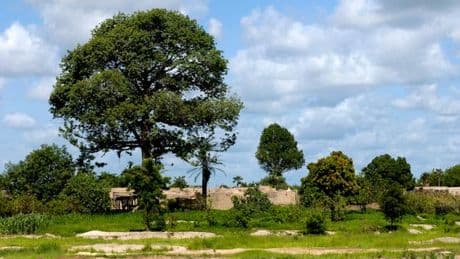 Au Burkina Faso, le fils de l’“homme qui a arrêté le désert” poursuit son œuvre