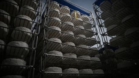 Fromages rappelés: un "lien possible" avec 21 cas de listériose dont 2 morts, selon le gouvernement