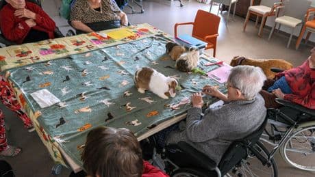 Réinventons la prise en charge de la maladie d’Alzheimer
