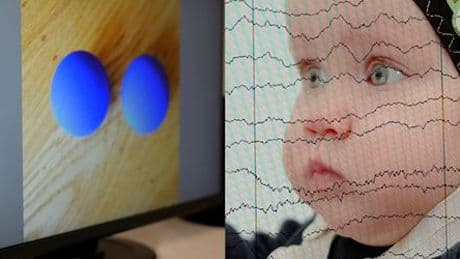 Neurowissenschaft: Einblicke ins Baby-Hirn am Max-Planck-Institut