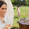 Meghan Markle is 'diluting her brand' by constantly reposting 'mid-tier influencers' drinking her wine, brand expert claims - as latest As Ever tipple STILL struggles to sell out