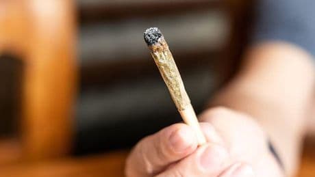Surge in cannabis-induced psychotic episodes across the UK as potency of strains has increased