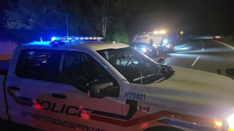Drivers busted for being impaired following B.C. Nickelback concert, country festival