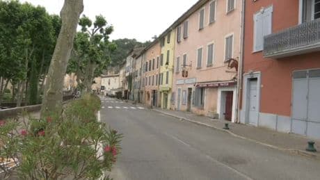 "Une intervention humaine flagrante": 26 chats disparus ou retrouvés maltraités en moins de deux ans à Saint-Antonin-du-Var