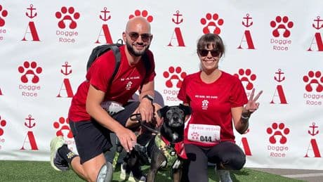Scooby, el perro sobre ruedas que corre maratones: &quot;Al principio da miedo, pero hay mucha vida después de una lesión&quot;