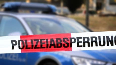 At least 15 children injured after car crashes into group of people in Berlin