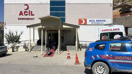 Ceviz toplamak için çıktığı ağaçtan düşüp öldü