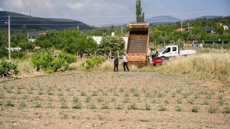 Kurbanlık hayvanların atıkları toprağa can oluyor