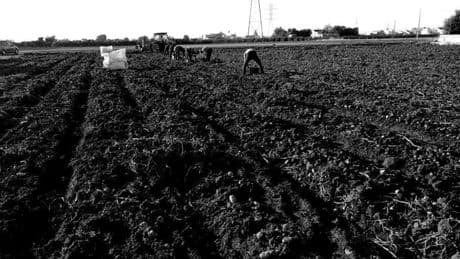Un modelo energético ‘anti apagones’ para blindar la agricultura española
