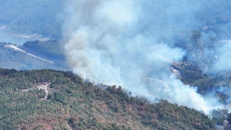 Bodrum'da çıkan orman yangınına müdahale ediliyor