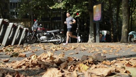 Arbres jaunis, feuilles qui tombent… Pourquoi ce mois d’août a des airs de « faux automne »