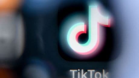 Réseaux sociaux : la commission TikTok préconise leur interdiction aux moins de 15 ans
