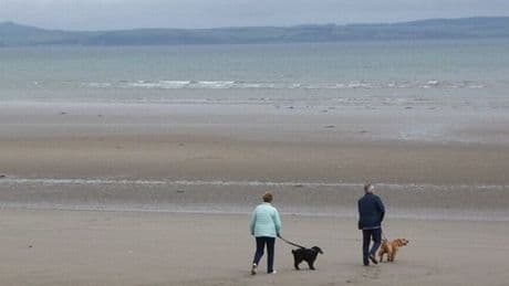 The little known Scottish beach that was named country's 'most dog friendly'