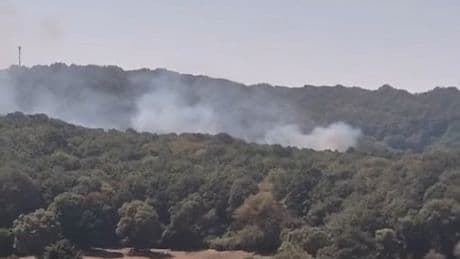 Sarıyer'de orman yangını çıktı