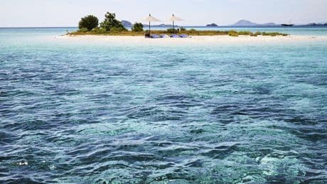 Pêche illégale : les navires fantômes démasqués par satellite