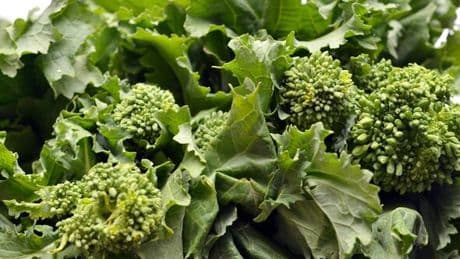 Adding one green vegetable to your diet can cut cancer and diabetes risk