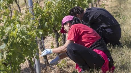 Travailleurs immigrés : une nécessité pour le modèle social français, selon Terra Nova