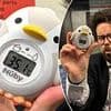 The Tubes and London buses that are too hot for cattle: Britain swelters in heatwave as 35C Underground trains record temperatures that are above legal limit for transporting livestock