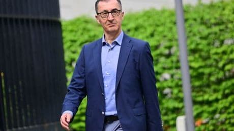 Grünen-Parteitag in Baden-Württemberg: Cem Özdemir setzt auf ein grünes Wunder