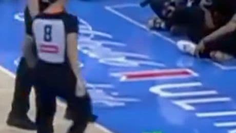 Liberty, NYPD investigating sex toy thrown at Barclays Center amid spate of WNBA incidents