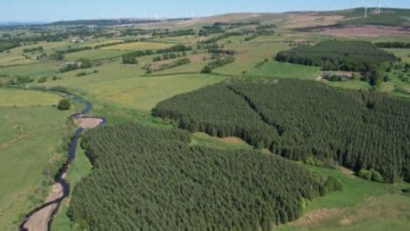 Scottish forest with fishing and hunting rights goes on market