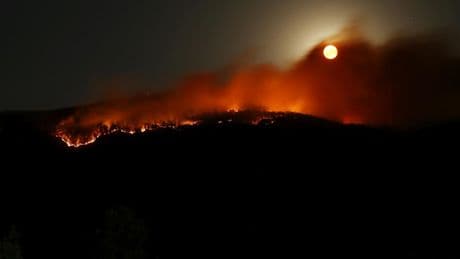 Çankırı’nın Ilgaz ilçesindeki yangın kontrol altına alındı