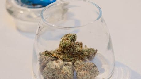 Marijuana’s Links to Heart Attack and Stroke Are Becoming Clearer