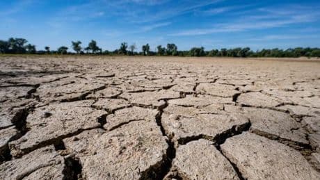 Studie analysiert: Fünf Maßnahmen verbessern die Welt bis 2100