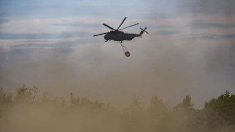 Wetterausblick: Waldbrandlage in Brandenburg stabil - keine Entwarnung