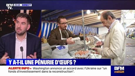 L'ŒIL DE RAPHAËL - Œufs: risque-t-on une pénurie?