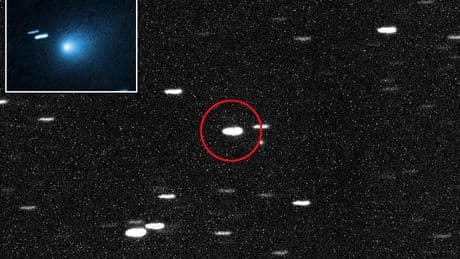 Harvard scientist says interstellar object on course for Earth could be nuclear-powered in latest wild claim