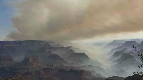 Wildfire along Grand Canyon's North Rim destroys historic lodge and is spreading rapidly
