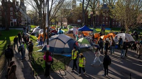 Más de 1.000 estudiantes internacionales han visto revocadas sus visas o su estatus legal