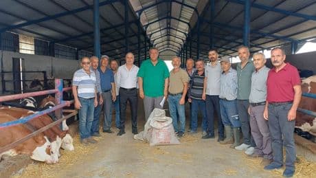 CHP’li Gürer: Üretici süt satarak bir bardak çay içemez hale geldi