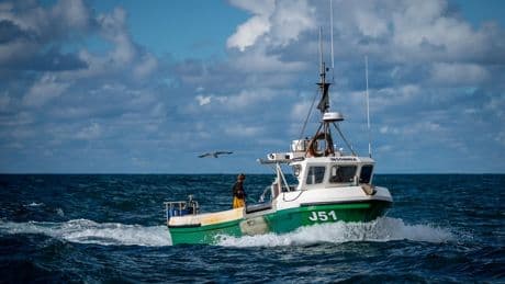 'Horror show': Angry fisherman react to new UK-EU deal as Nigel Farage warns of 'death to industry'