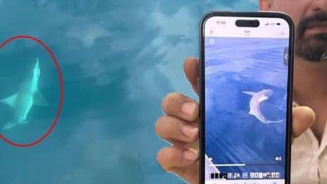 Oltaya geldi! Denizin ortasında şoke eden 45 dakika: Başımıza ilk defa geliyor
