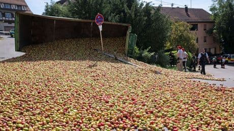 Unfälle: Traktor kippt um - Apfel-Teppich auf Straße in Reutlingen