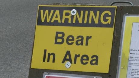 Picking buffaloberries and electric fences: how wildlife is being managed ahead of G7