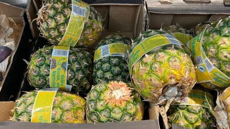 Was die Änderung im Discounter soll - Supermarkt verkleinert beliebte Frucht