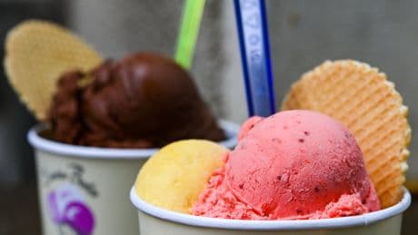 Wenn Sie an der Eisdiele sparen wollen: Deutschlandkarte zeigt alle Eispreise 2025