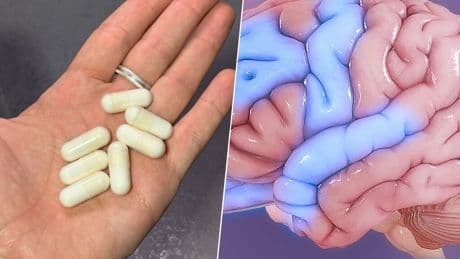 Llevamos décadas pensando que la creatina servía para entrenar mejor. Resulta que el mayor beneficio estaba en el cerebro
