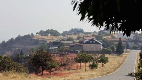 Denunciar, hacer fotos y guardar facturas: guía para actuar tras los incendios en el campo