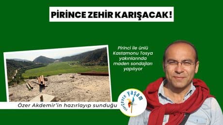 Pirince zehir karışacak! | Çepeçevre Yaşam
