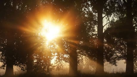 Hitzewellchen im Südwesten: Wo wird 30-Grad-Marke geknackt?