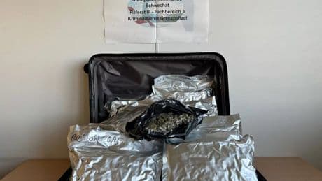 Another Thai Brit smuggler suspect arrested with cannabis haul bound for UK after Bella Culley & Charlotte May Lee drama