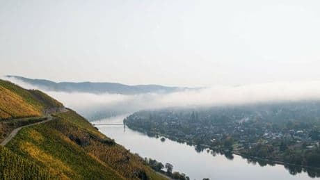 Winzer: Wenn der Traum vom Weingut zum Albtraum wird