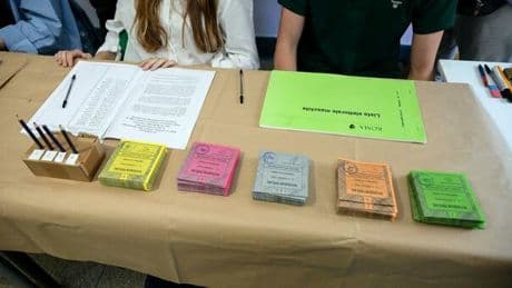 Affluenza Referendum, si raggiungerà il quorum? Nel 2011 (quando si arrivò al 57%) alle 12 la partecipazione era all'11,6%. Oggi è al 7,4%