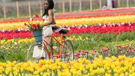 Fotografie: Bilder des Tages