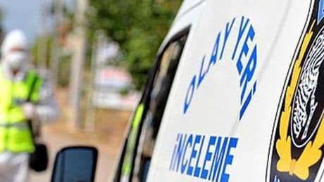 Yavru kediler öldürülmüş olarak bulundu: Korkunç olayda flaş gelişme