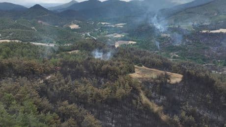 Sakarya'daki orman yangınında soğutma çalışmaları sürüyor